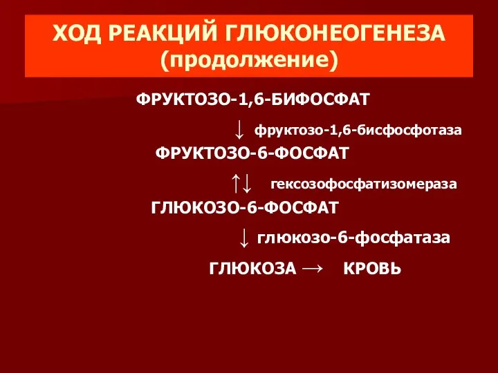 ХОД РЕАКЦИЙ ГЛЮКОНЕОГЕНЕЗА (продолжение) ФРУКТОЗО-1,6-БИФОСФАТ ↓ фруктозо-1,6-бисфосфотаза ФРУКТОЗО-6-ФОСФАТ ↑↓ гексозофосфатизомераза ГЛЮКОЗО-6-ФОСФАТ ↓ глюкозо-6-фосфатаза ГЛЮКОЗА → КРОВЬ