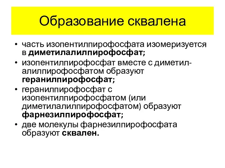 Образование сквалена часть изопентилпирофосфата изомеризуется в диметилалилпирофосфат; изопентилпирофосфат вместе с диметил-алилпирофосфатом