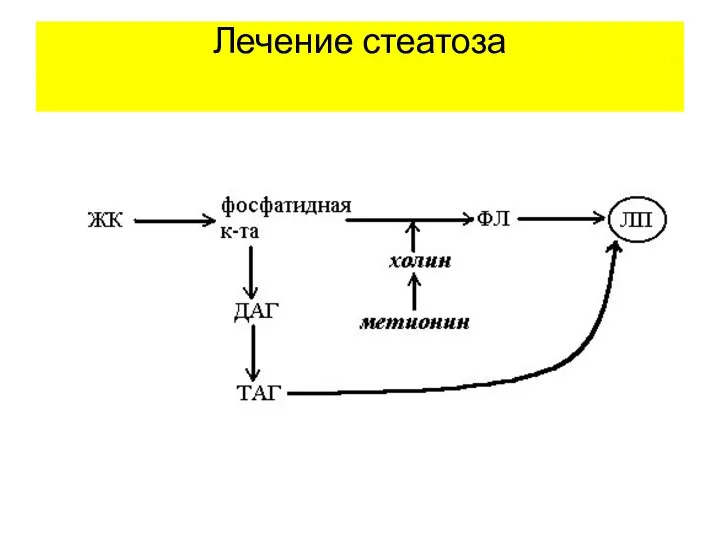 Лечение стеатоза