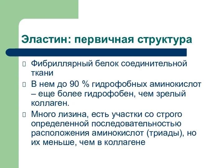 Эластин: первичная структура Фибриллярный белок соединительной ткани В нем до 90