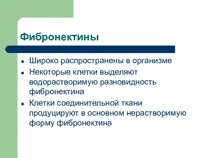 Фибронектины Широко распространены в организме Некоторые клетки выделяют водорастворимую разновидность фибронектина