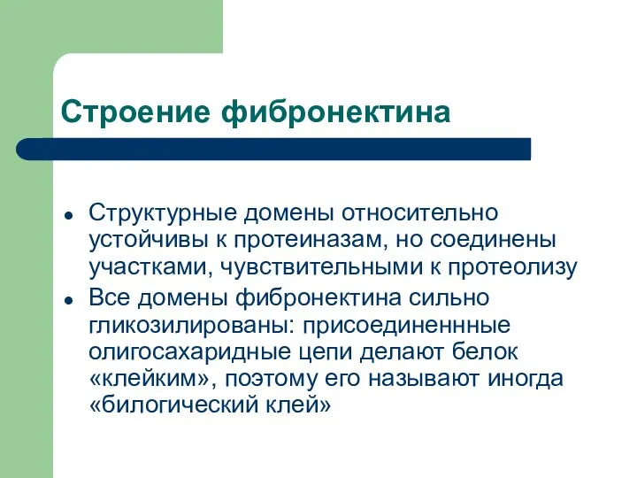 Строение фибронектина Структурные домены относительно устойчивы к протеиназам, но соединены участками,