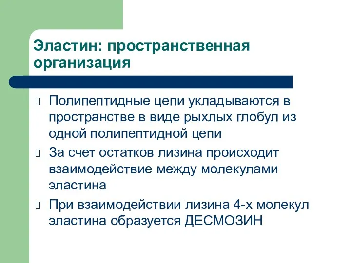 Эластин: пространственная организация Полипептидные цепи укладываются в пространстве в виде рыхлых