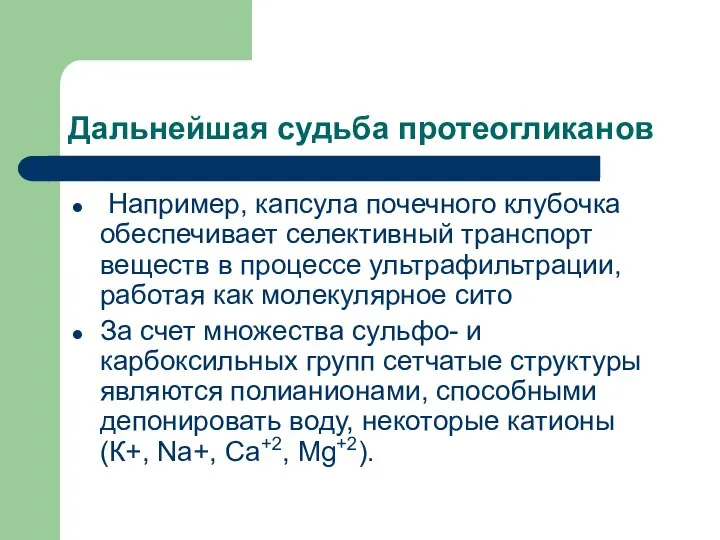 Дальнейшая судьба протеогликанов Например, капсула почечного клубочка обеспечивает селективный транспорт веществ