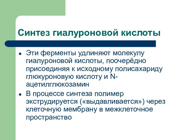 Синтез гиалуроновой кислоты Эти ферменты удлиняют молекулу гиалуроновой кислоты, поочерёдно присоединяя