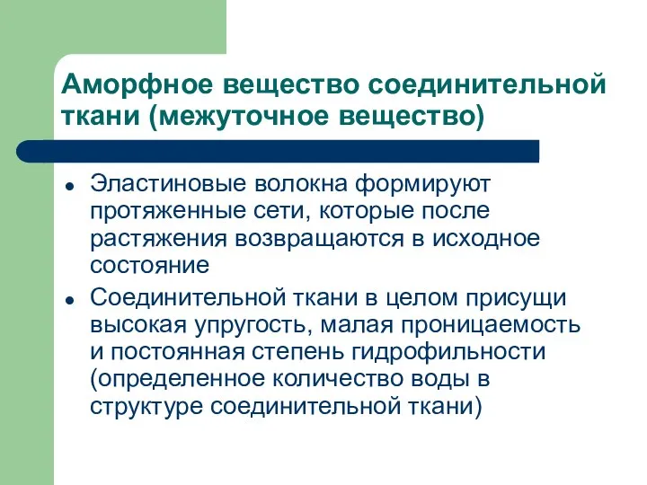 Аморфное вещество соединительной ткани (межуточное вещество) Эластиновые волокна формируют протяженные сети,