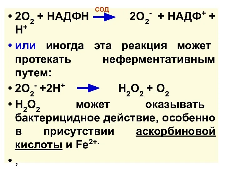 2О2 + НАДФН 2О2- + НАДФ+ + Н+ или иногда эта