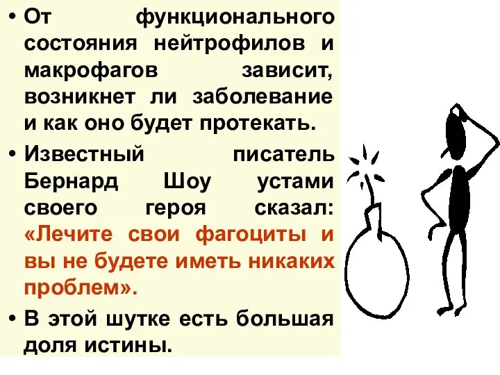 От функционального состояния нейтрофилов и макрофагов зависит, возникнет ли заболевание и