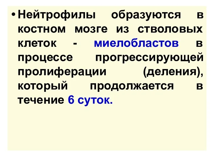 Нейтрофилы образуются в костном мозге из стволовых клеток - миелобластов в