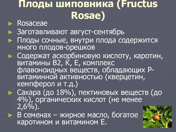 Плоды шиповника (Fructus Rosae) Rosaceae Заготавливают август-сентябрь Плоды сочные, внутри плода