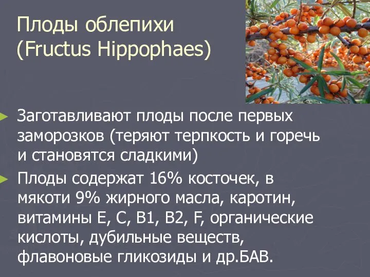 Плоды облепихи (Fructus Hippophaes) Заготавливают плоды после первых заморозков (теряют терпкость