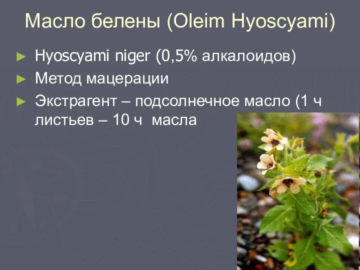 Масло белены (Oleim Hyoscyami) Hyoscyami niger (0,5% алкалоидов) Метод мацерации Экстрагент