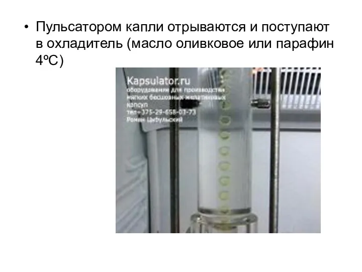 Пульсатором капли отрываются и поступают в охладитель (масло оливковое или парафин 4ºС)