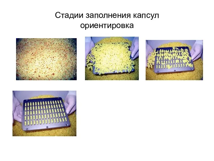 Стадии заполнения капсул ориентировка