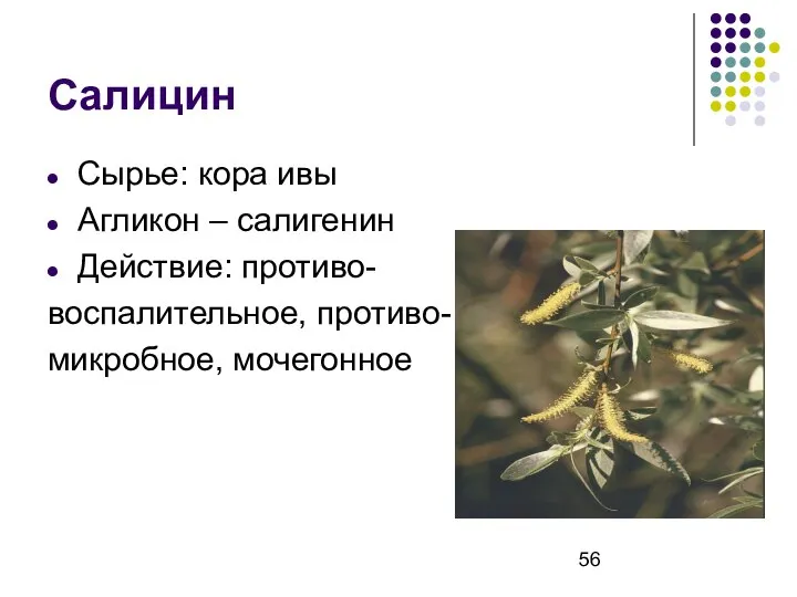 Салицин Сырье: кора ивы Агликон – салигенин Действие: противо- воспалительное, противо- микробное, мочегонное