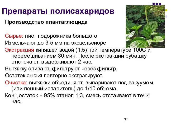 Препараты полисахаридов Производство плантаглюцида Сырье: лист подорожника большого Измельчают до 3-5