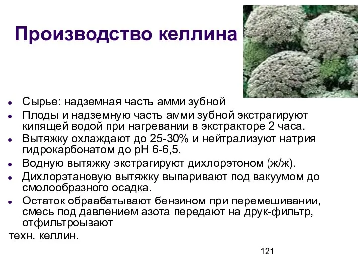 Производство келлина Сырье: надземная часть амми зубной Плоды и надземную часть