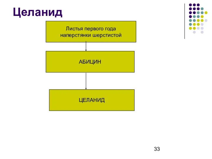 Целанид Листья первого года наперстянки шерстистой АБИЦИН ЦЕЛАНИД