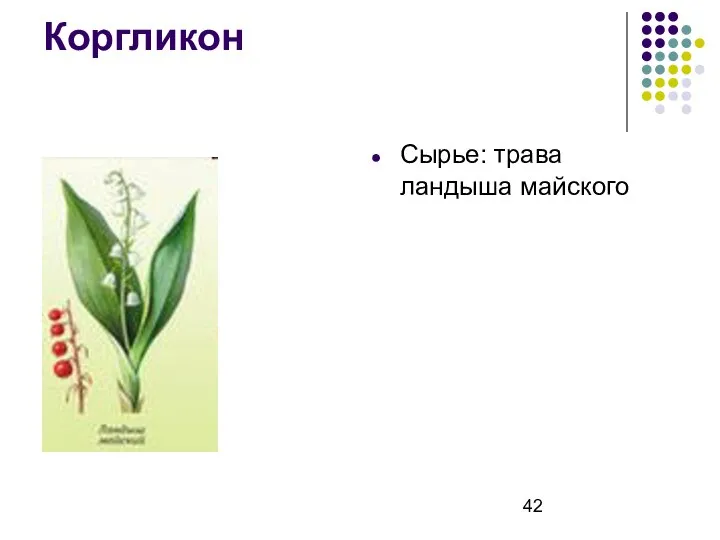 Коргликон Сырье: трава ландыша майского