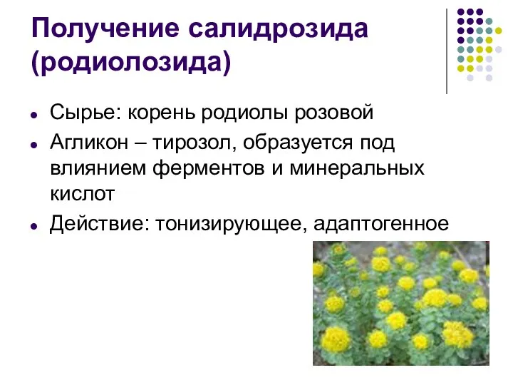 Получение салидрозида (родиолозида) Сырье: корень родиолы розовой Агликон – тирозол, образуется