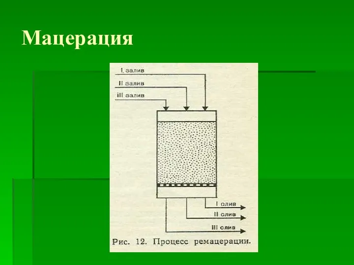 Мацерация