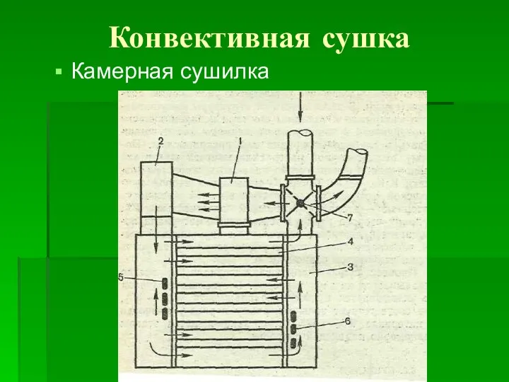 Конвективная сушка Камерная сушилка