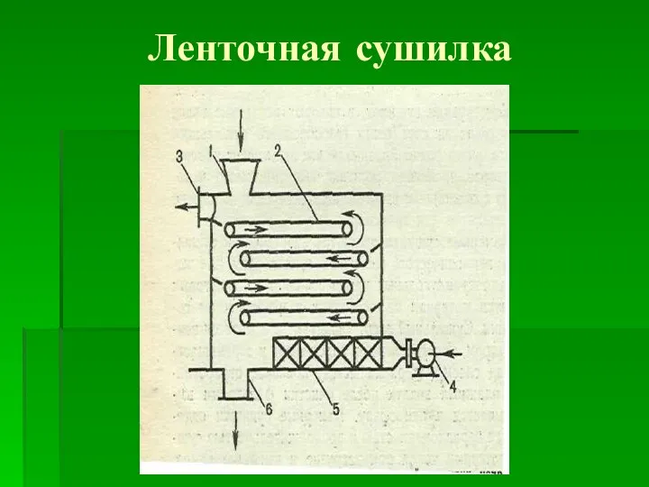 Ленточная сушилка