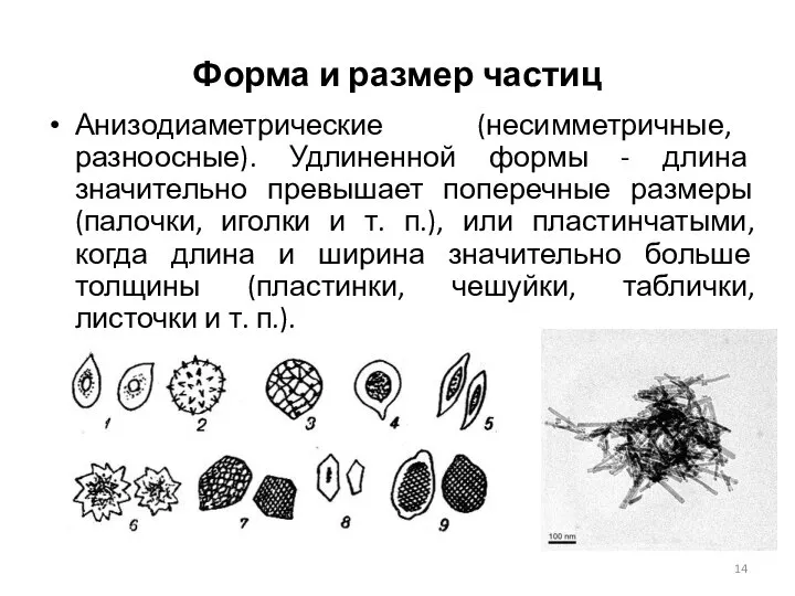 Форма и размер частиц Анизодиаметрические (несимметричные, разноосные). Удлиненной формы - длина