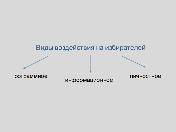 Виды воздействия на избирателей информационное программное личностное