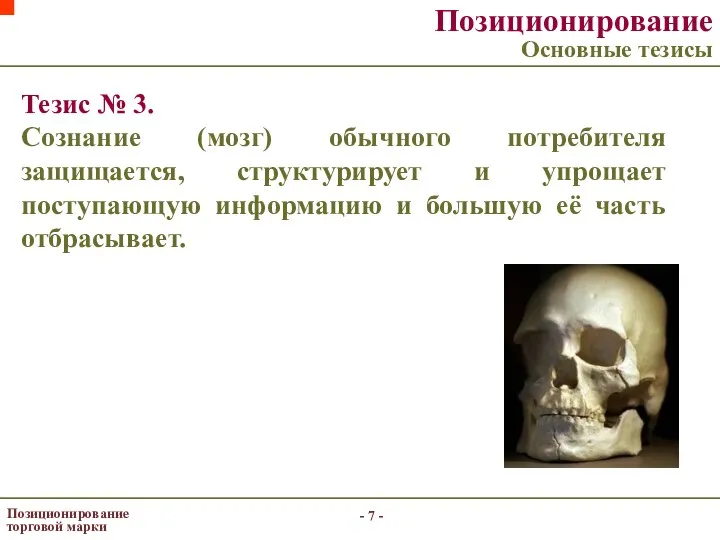 - - Позиционирование торговой марки Позиционирование Основные тезисы Тезис № 3.