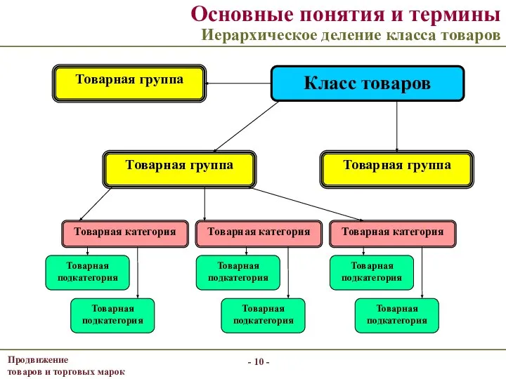 - - Основные понятия и термины Иерархическое деление класса товаров