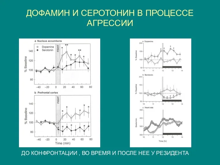 ДОФАМИН И СЕРОТОНИН В ПРОЦЕССЕ АГРЕССИИ ДО КОНФРОНТАЦИИ , ВО ВРЕМЯ И ПОСЛЕ НЕЕ У РЕЗИДЕНТА