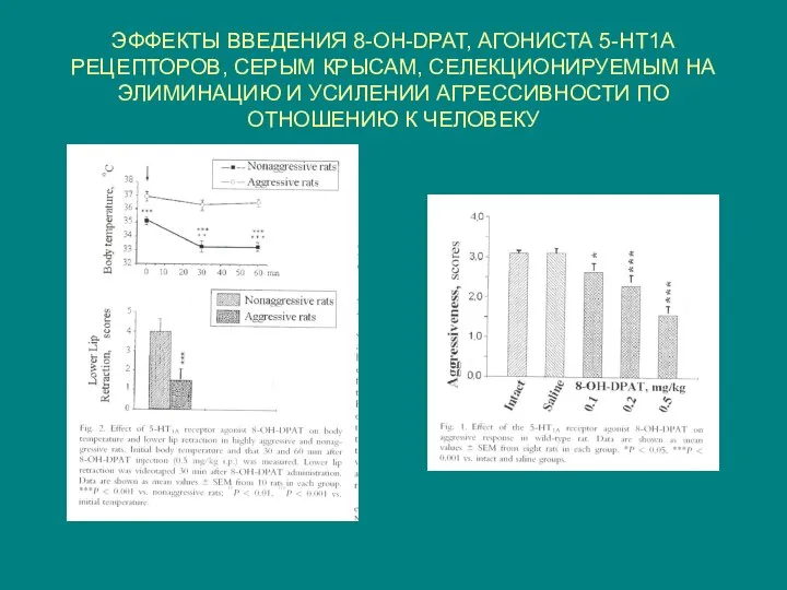 ЭФФЕКТЫ ВВЕДЕНИЯ 8-OH-DPAT, АГОНИСТА 5-HT1A РЕЦЕПТОРОВ, СЕРЫМ КРЫСАМ, СЕЛЕКЦИОНИРУЕМЫМ НА ЭЛИМИНАЦИЮ