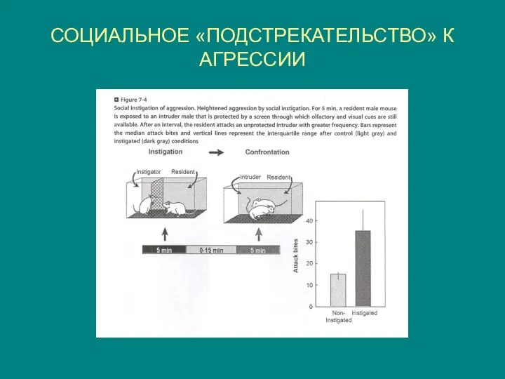 СОЦИАЛЬНОЕ «ПОДСТРЕКАТЕЛЬСТВО» К АГРЕССИИ