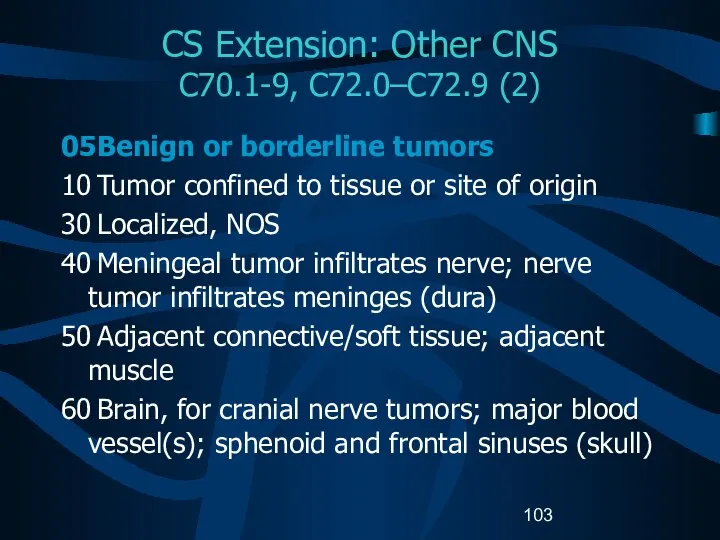 CS Extension: Other CNS C70.1-9, C72.0–C72.9 (2) 05 Benign or borderline