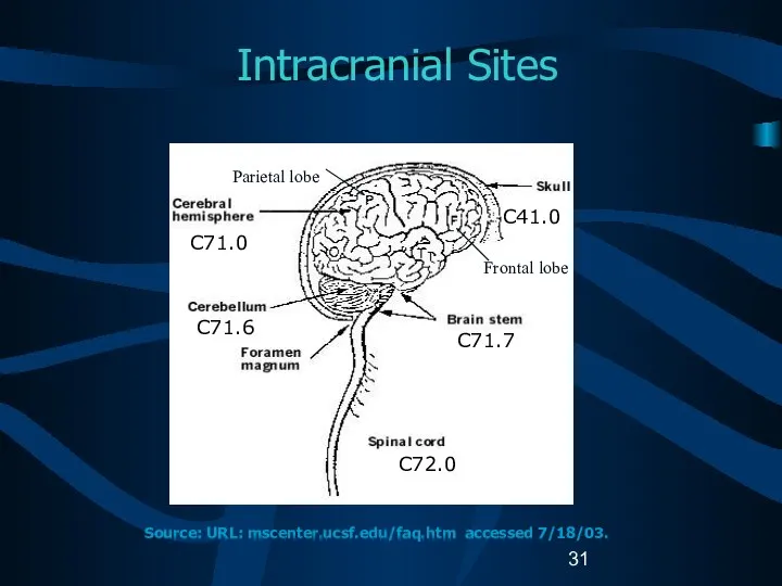 Intracranial Sites C71.0 C71.6 C41.0 C71.7 C72.0 Source: URL: mscenter.ucsf.edu/faq.htm accessed 7/18/03. Parietal lobe Frontal lobe