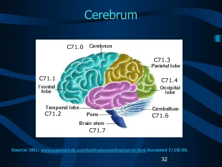 Cerebrum C71.1 C71.2 C71.7 C71.3 C71.4 C71.6 C71.0 Source: URL: www.sciencebob.com/lab/bodyzone/brainprint.html Accessed 7/18/03.