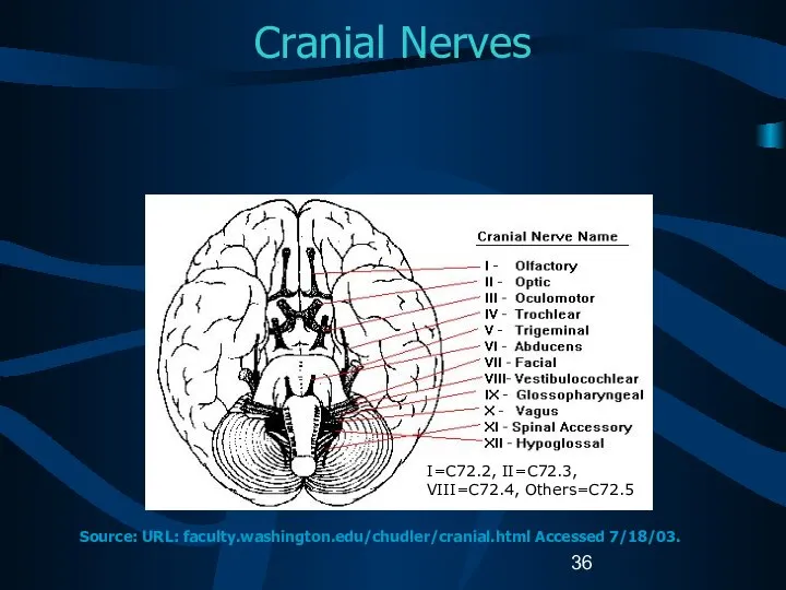 Cranial Nerves I=C72.2, II=C72.3, VIII=C72.4, Others=C72.5 Source: URL: faculty.washington.edu/chudler/cranial.html Accessed 7/18/03.