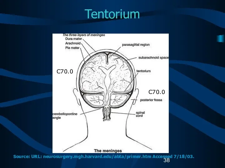 Tentorium C70.0 C70.0 Source: URL: neurosurgery.mgh.harvard.edu/abta/primer.htm Accessed 7/18/03.