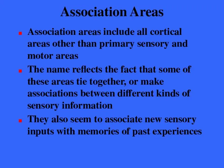 Association Areas Association areas include all cortical areas other than primary