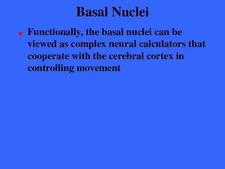 Basal Nuclei Functionally, the basal nuclei can be viewed as complex