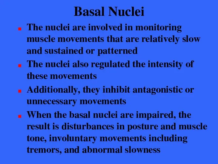 Basal Nuclei The nuclei are involved in monitoring muscle movements that