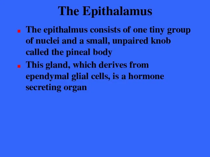 The Epithalamus The epithalmus consists of one tiny group of nuclei