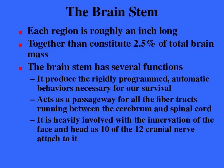 The Brain Stem Each region is roughly an inch long Together