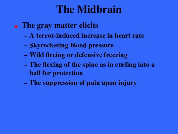 The Midbrain The gray matter elicits A terror-induced increase in heart