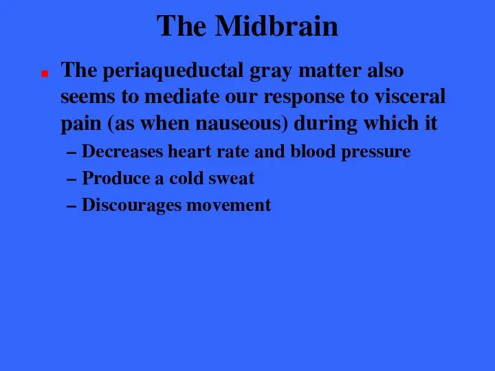 The Midbrain The periaqueductal gray matter also seems to mediate our