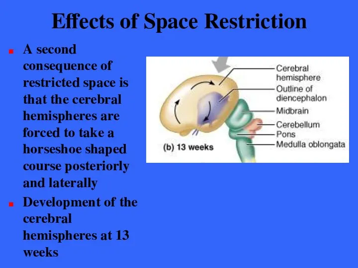 Effects of Space Restriction A second consequence of restricted space is