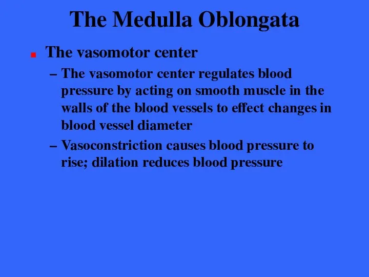 The Medulla Oblongata The vasomotor center The vasomotor center regulates blood