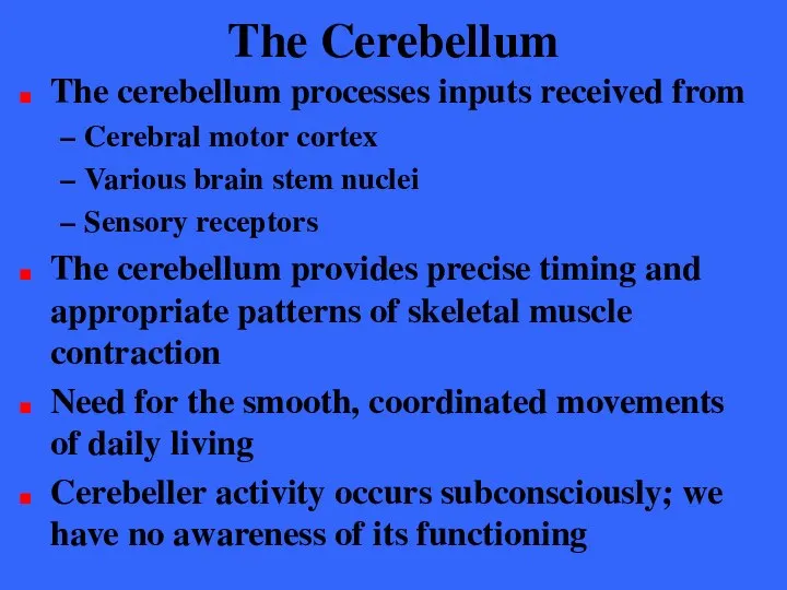 The Cerebellum The cerebellum processes inputs received from Cerebral motor cortex