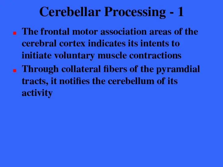 Cerebellar Processing - 1 The frontal motor association areas of the